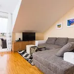 Sunlit Comfort Apartments